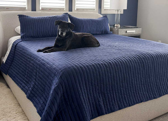 Arctic Quilt Set in denim on bed in bedroom environment with dog on bed. #choose-your-color_denim